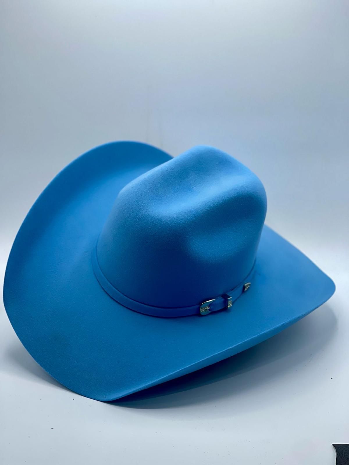 CHIHUAHUA AZUL 100x 61- 7 5 8