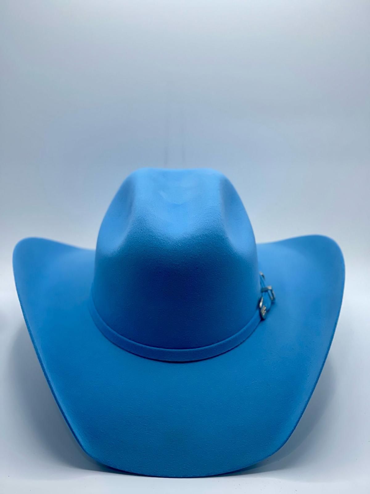 CHIHUAHUA AZUL 100x