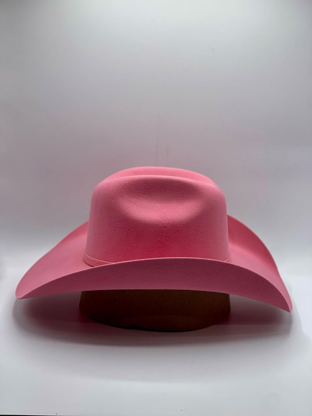 Texana Chihuahua Rosa 100x