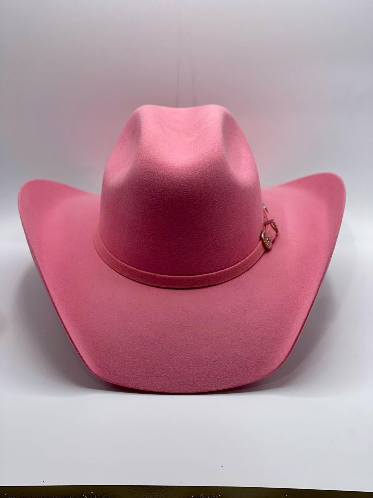 Texana Chihuahua Rosa 100x