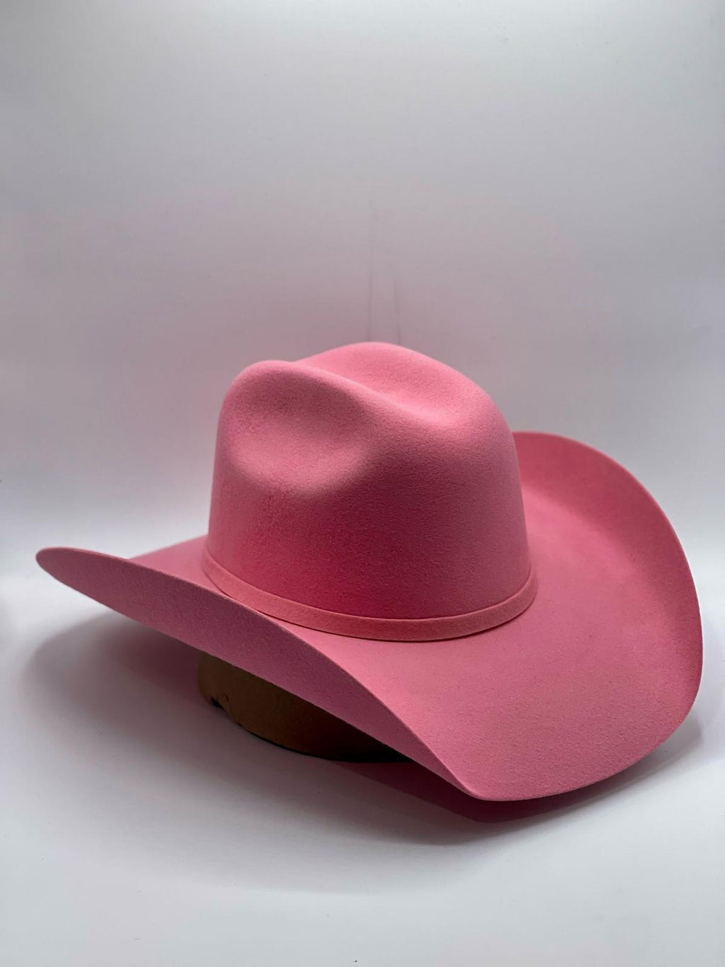 Texana Chihuahua Rosa 100x