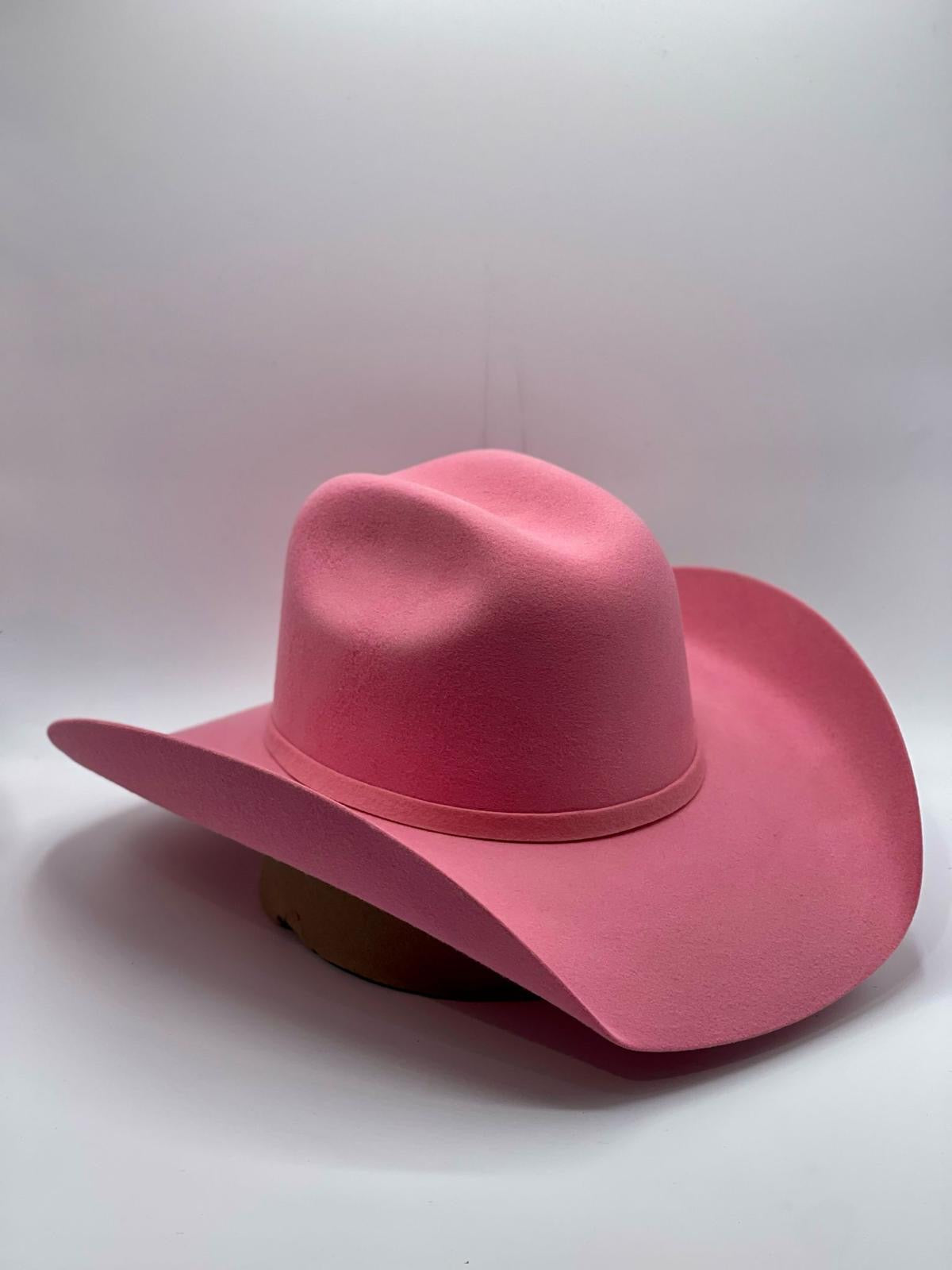 Texana Chihuahua Rosa 100x