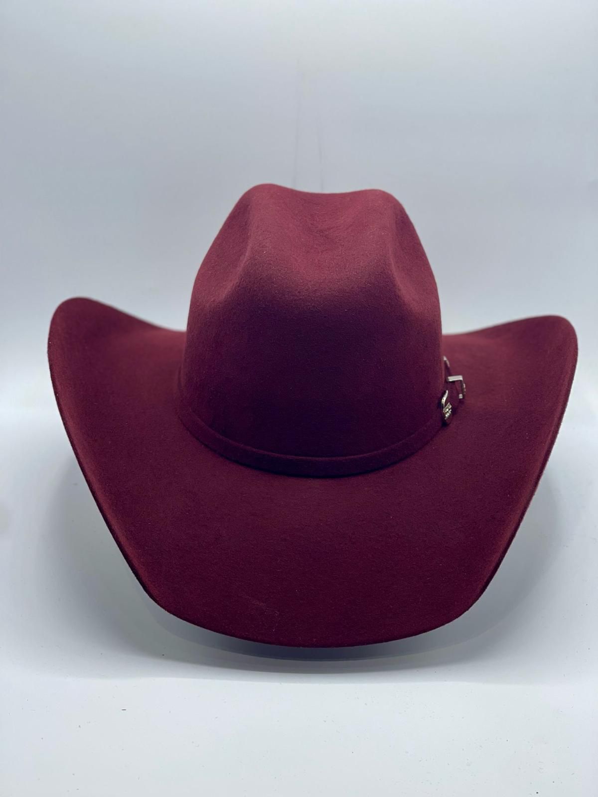 TEXANA CHIHUAHUA VINO 100x