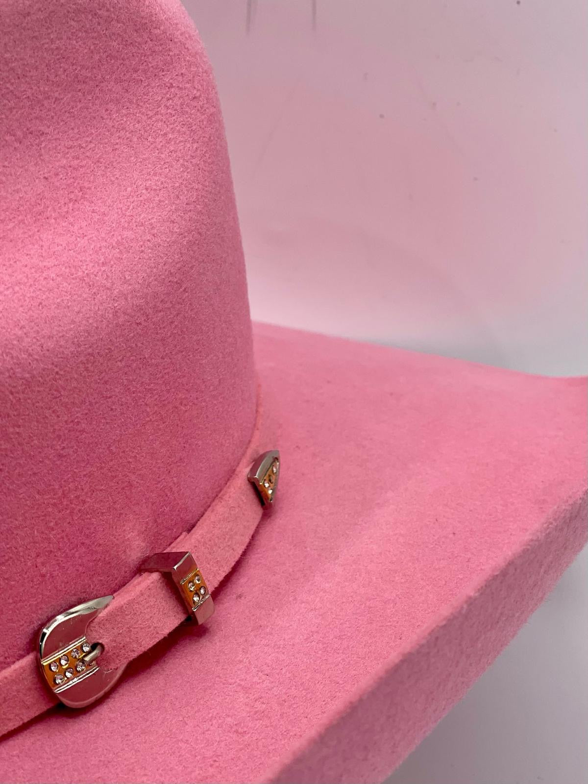 Texana Chihuahua Rosa 100x Fiusha