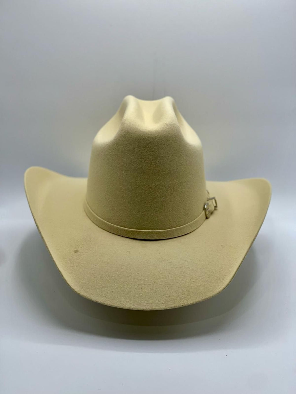 CHIHUAHUA HUESO/ DAMA 100x